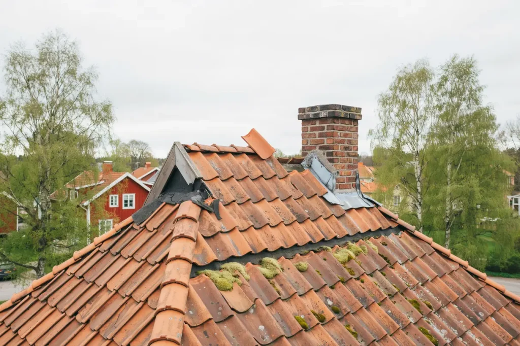 junikoll p taket uppt ck uv skador torra t tskikt och l sa beslag innan sommarens ov der