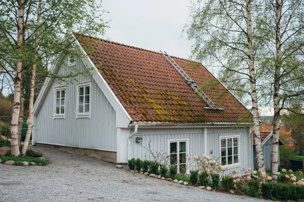 mossa p taket skonsamma metoder f r reng ring och f rebyggande underh ll